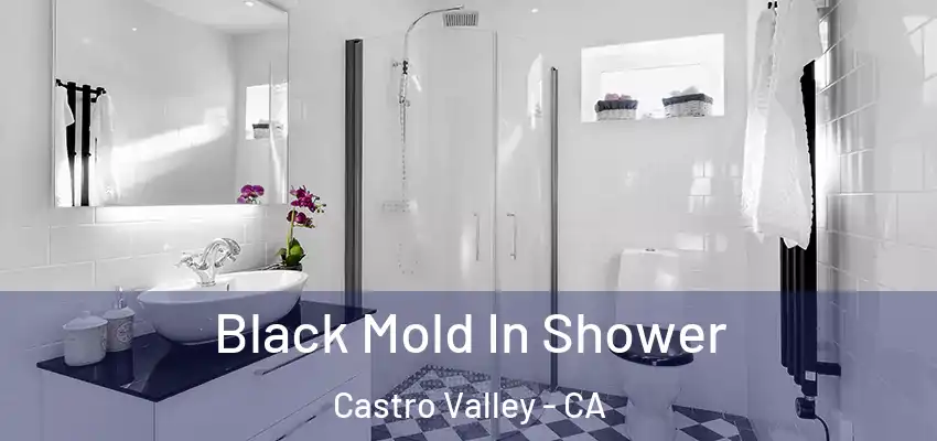 Black Mold In Shower Castro Valley - CA