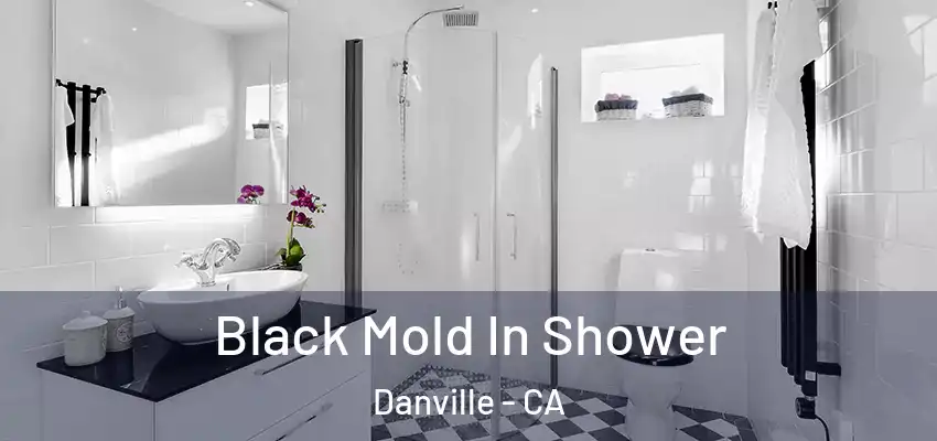  Black Mold In Shower Danville - CA
