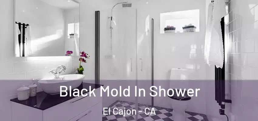  Black Mold In Shower El Cajon - CA