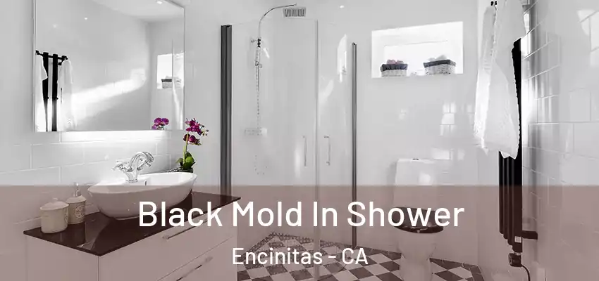 Black Mold In Shower Encinitas - CA