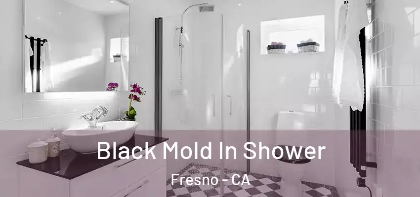  Black Mold In Shower Fresno - CA