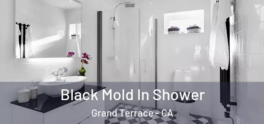  Black Mold In Shower Grand Terrace - CA