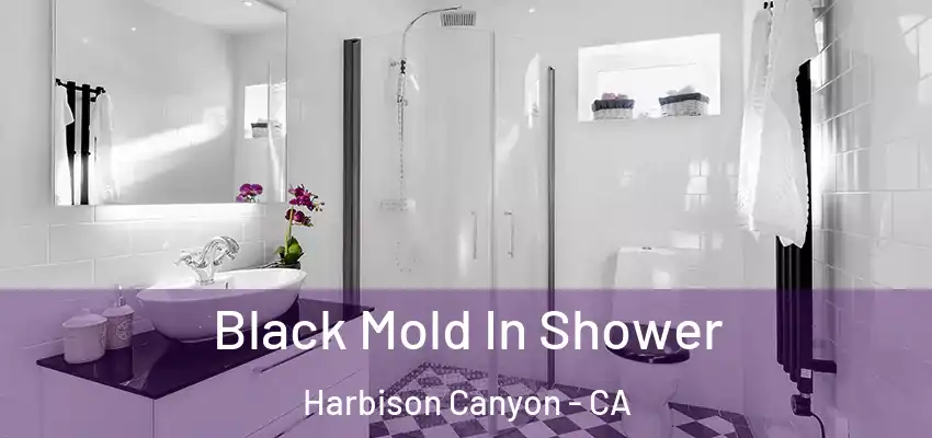  Black Mold In Shower Harbison Canyon - CA