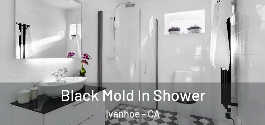  Black Mold In Shower Ivanhoe - CA