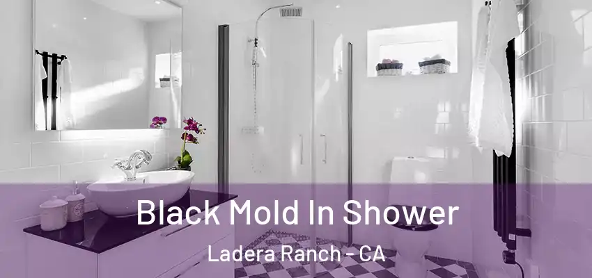  Black Mold In Shower Ladera Ranch - CA
