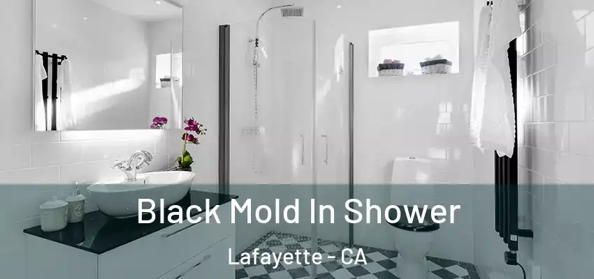  Black Mold In Shower Lafayette - CA