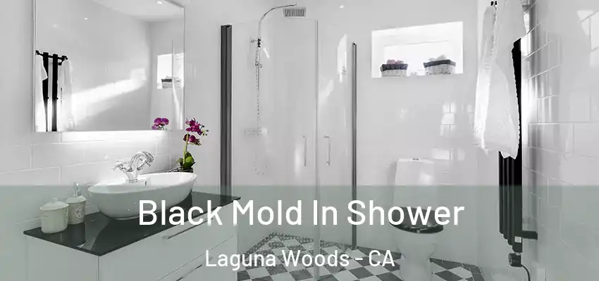  Black Mold In Shower Laguna Woods - CA