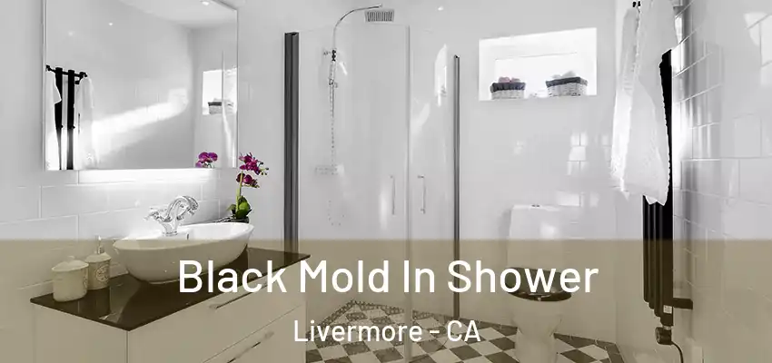  Black Mold In Shower Livermore - CA