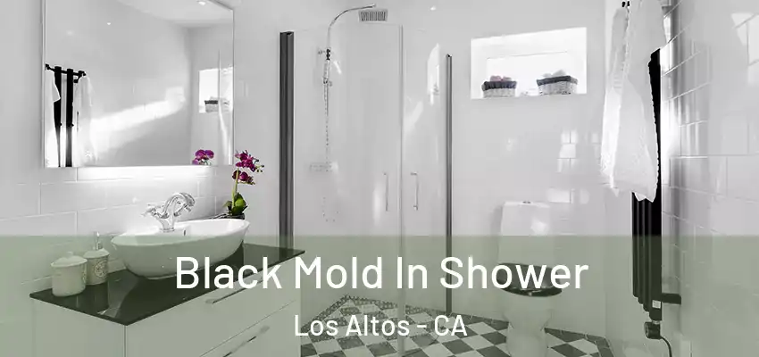  Black Mold In Shower Los Altos - CA