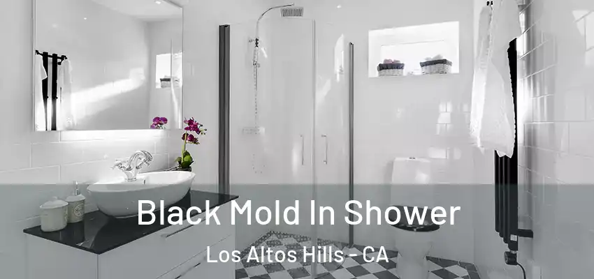  Black Mold In Shower Los Altos Hills - CA
