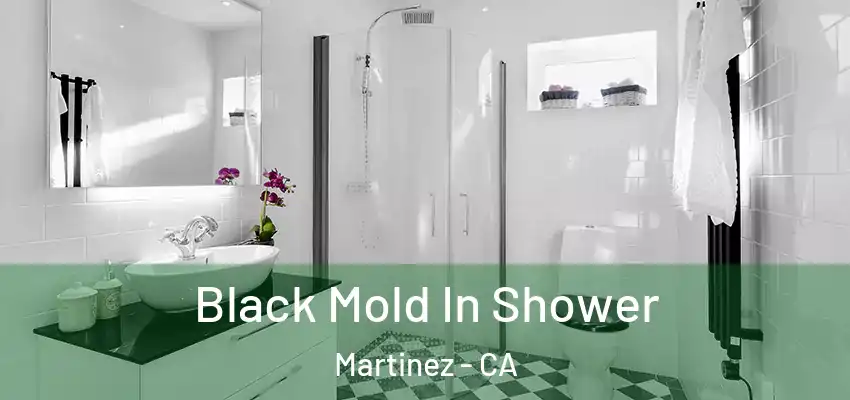  Black Mold In Shower Martinez - CA