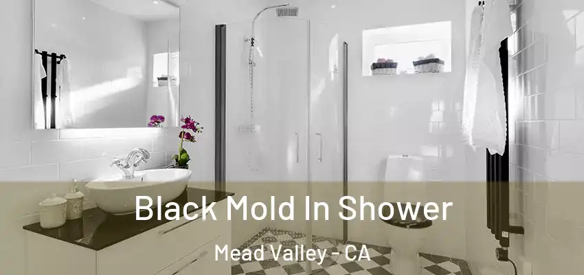  Black Mold In Shower Mead Valley - CA