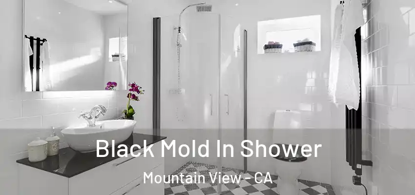  Black Mold In Shower Mountain View - CA