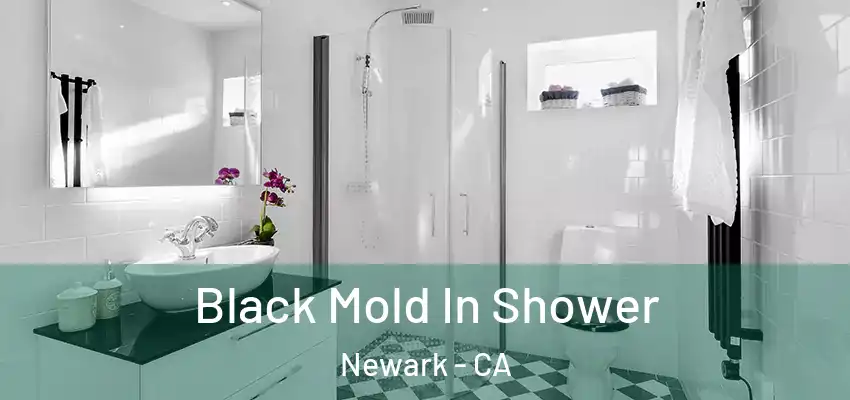  Black Mold In Shower Newark - CA