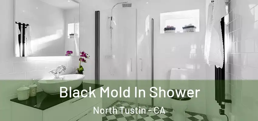  Black Mold In Shower North Tustin - CA
