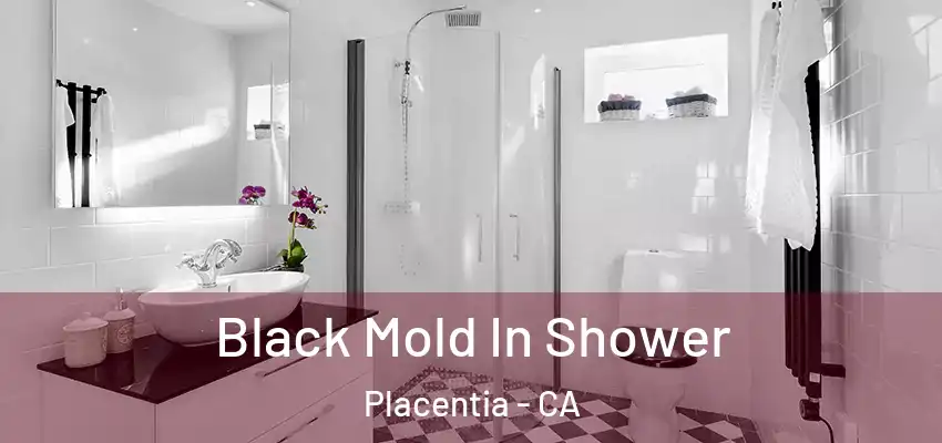  Black Mold In Shower Placentia - CA