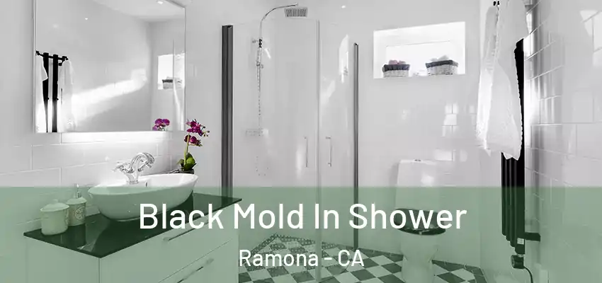  Black Mold In Shower Ramona - CA
