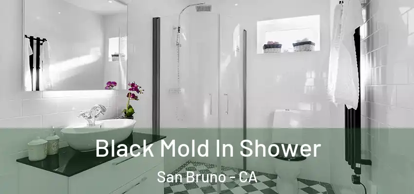  Black Mold In Shower San Bruno - CA