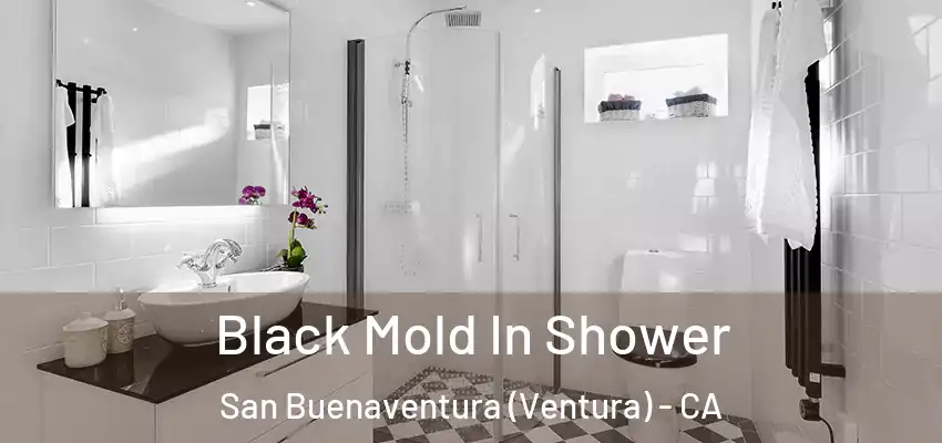  Black Mold In Shower San Buenaventura (Ventura) - CA