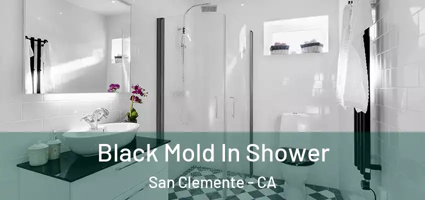  Black Mold In Shower San Clemente - CA