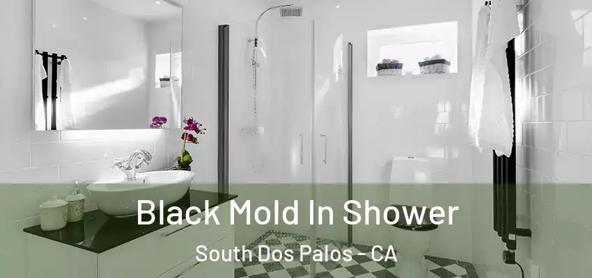  Black Mold In Shower South Dos Palos - CA