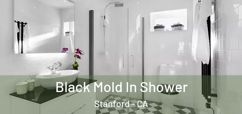 Black Mold In Shower Stanford - CA