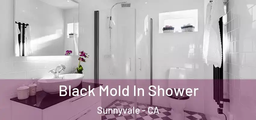  Black Mold In Shower Sunnyvale - CA