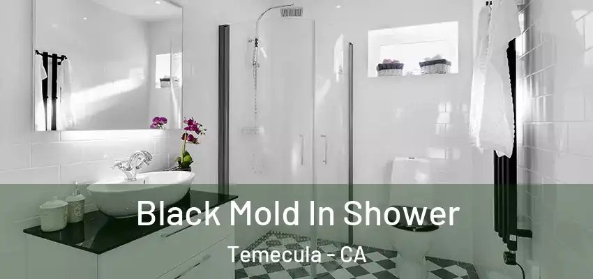  Black Mold In Shower Temecula - CA