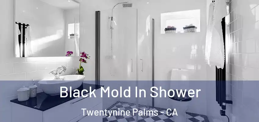  Black Mold In Shower Twentynine Palms - CA