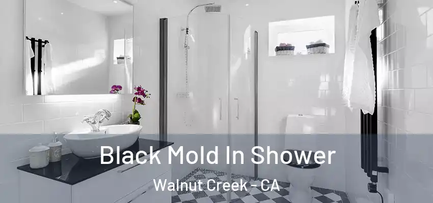  Black Mold In Shower Walnut Creek - CA