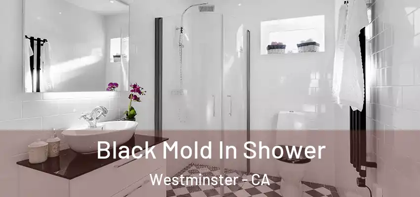  Black Mold In Shower Westminster - CA