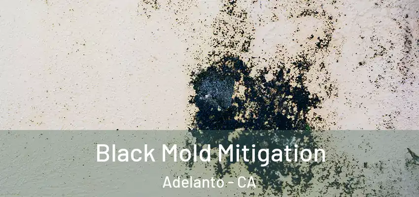  Black Mold Mitigation Adelanto - CA
