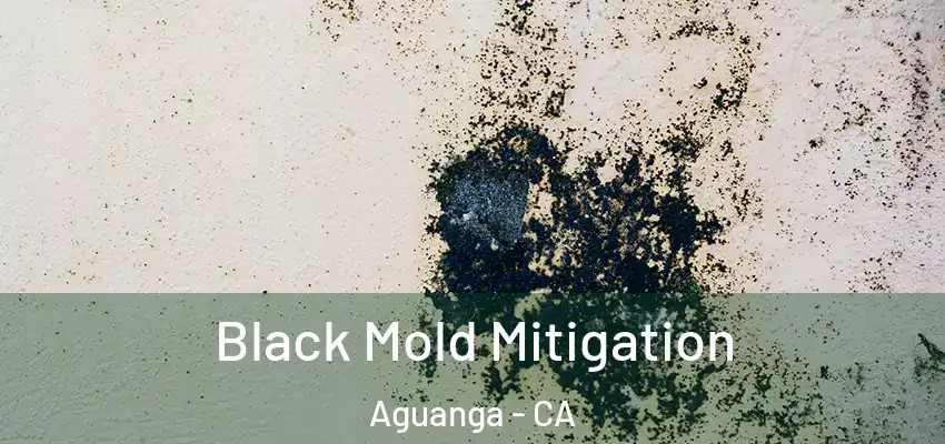  Black Mold Mitigation Aguanga - CA