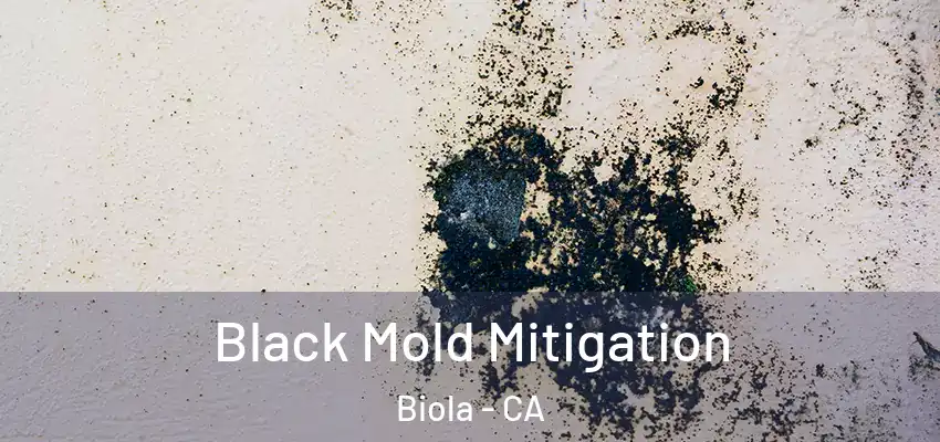  Black Mold Mitigation Biola - CA
