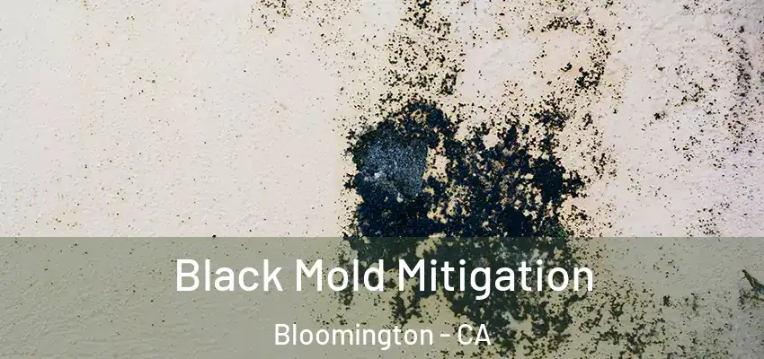 Black Mold Mitigation Bloomington - CA