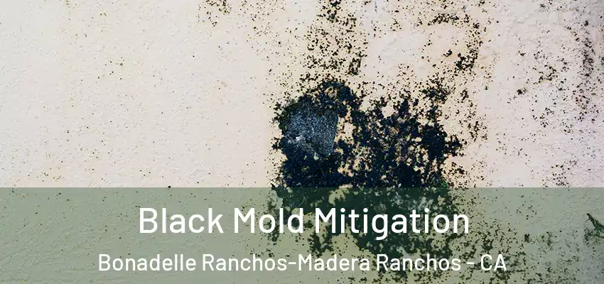  Black Mold Mitigation Bonadelle Ranchos-Madera Ranchos - CA