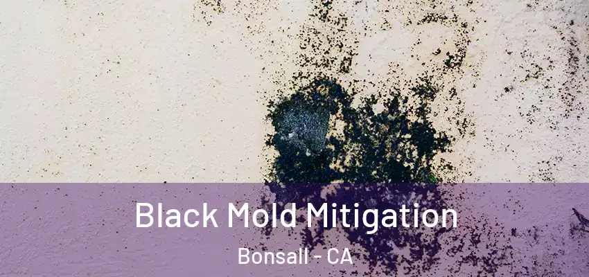  Black Mold Mitigation Bonsall - CA
