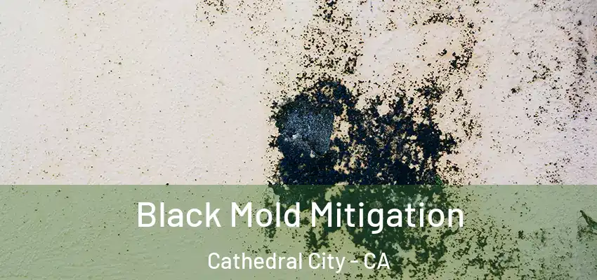  Black Mold Mitigation Cathedral City - CA
