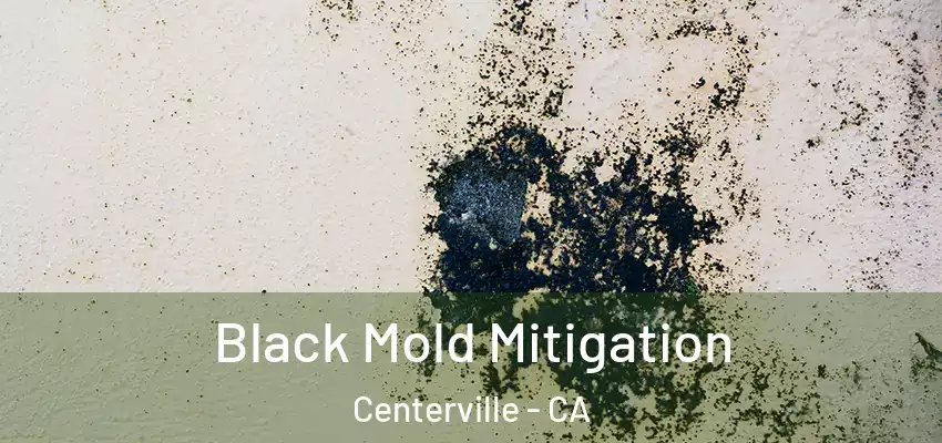  Black Mold Mitigation Centerville - CA