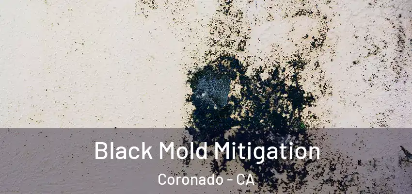  Black Mold Mitigation Coronado - CA