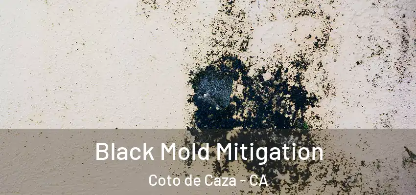 Black Mold Mitigation Coto de Caza - CA