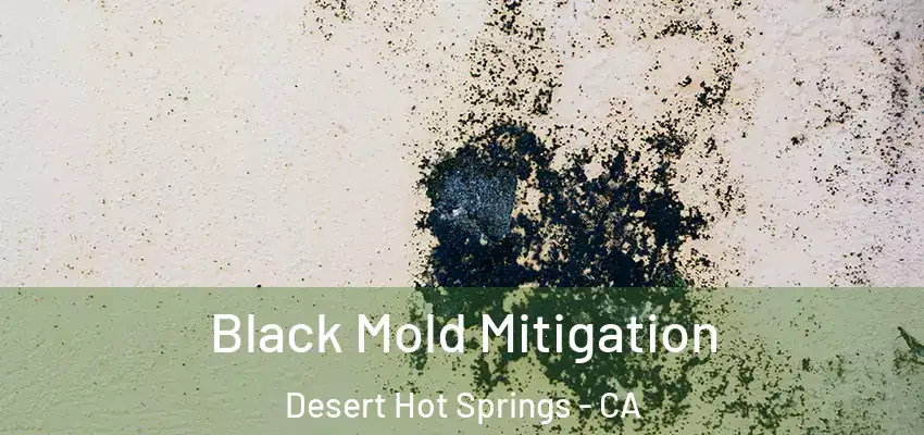 Black Mold Mitigation Desert Hot Springs - CA