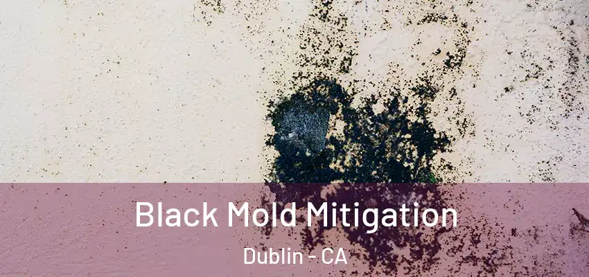  Black Mold Mitigation Dublin - CA