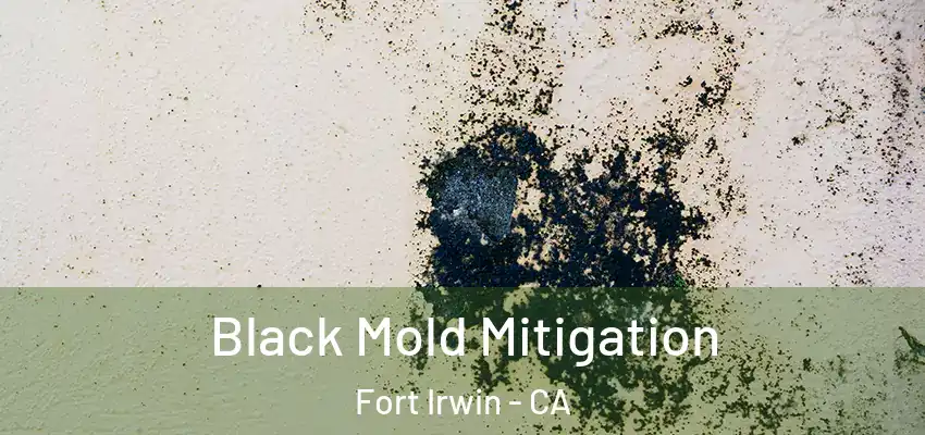  Black Mold Mitigation Fort Irwin - CA