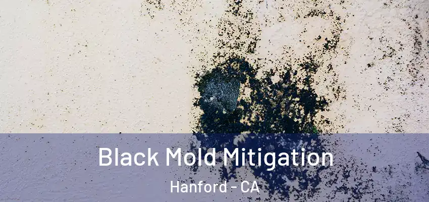  Black Mold Mitigation Hanford - CA