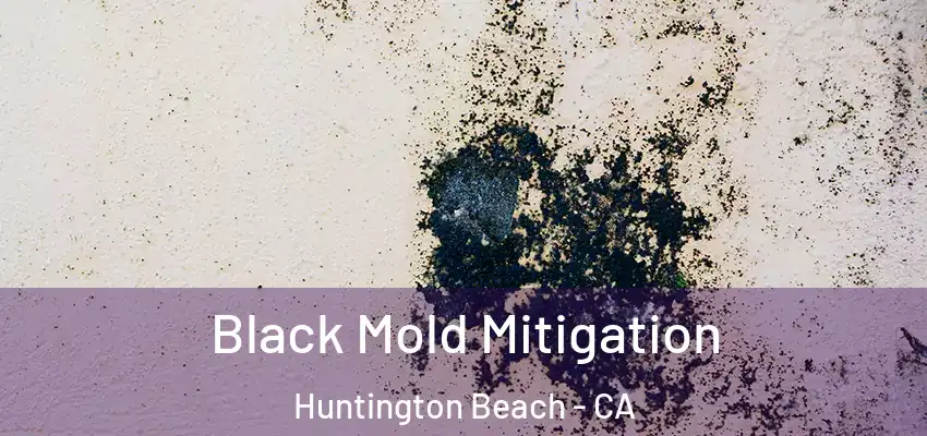 Black Mold Mitigation Huntington Beach - CA