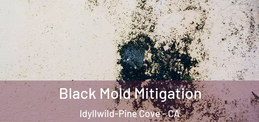  Black Mold Mitigation Idyllwild-Pine Cove - CA