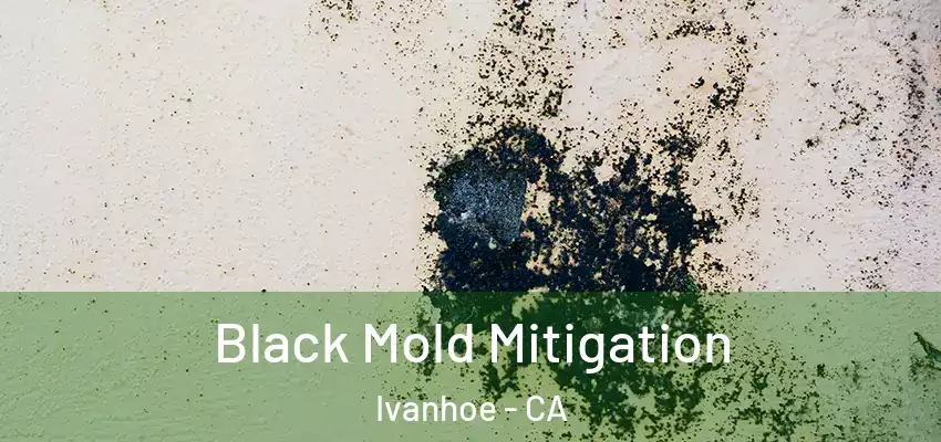  Black Mold Mitigation Ivanhoe - CA