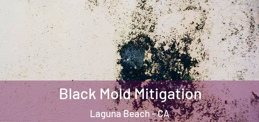 Black Mold Mitigation Laguna Beach - CA