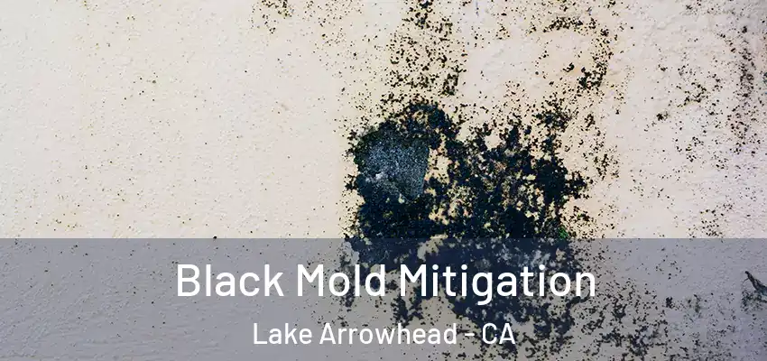  Black Mold Mitigation Lake Arrowhead - CA